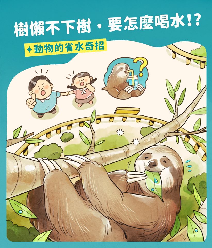 樹懶都怎麼喝水？來看看動物的喝水奇招